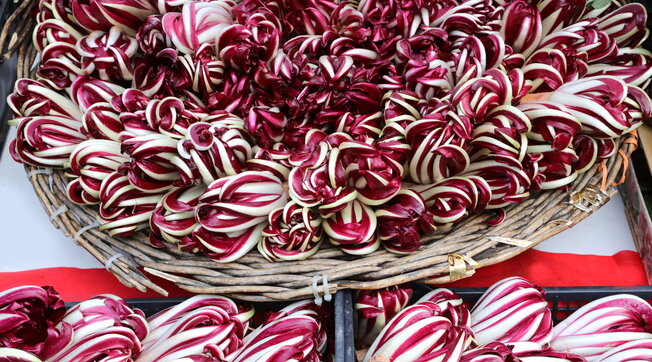 Radicchio Rosso di Treviso