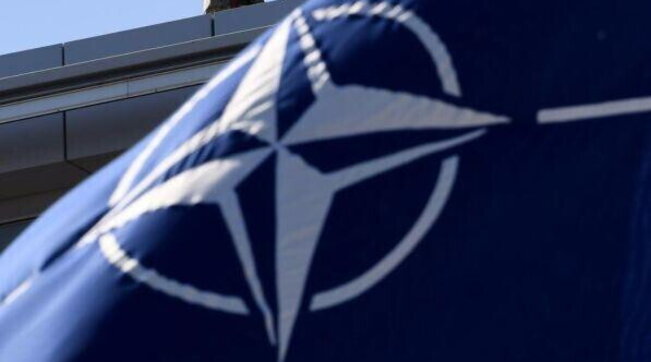 bandiera nato logo