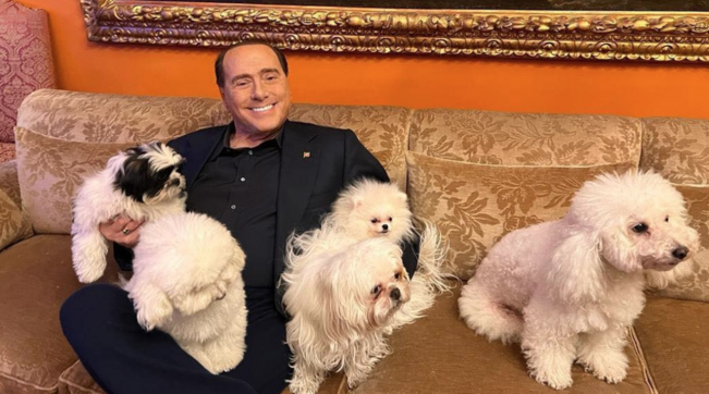 Silvio Berlusconi presenta i nuovi cani: Drago e Lupo