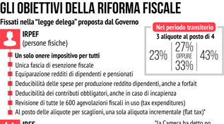 Delega fiscale, ecco cosa c'è nella legge