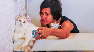 Festa del gatto da leccarsi i baffi, a Manhattan l'evento sold out con menù ispirato a croccantini e patè