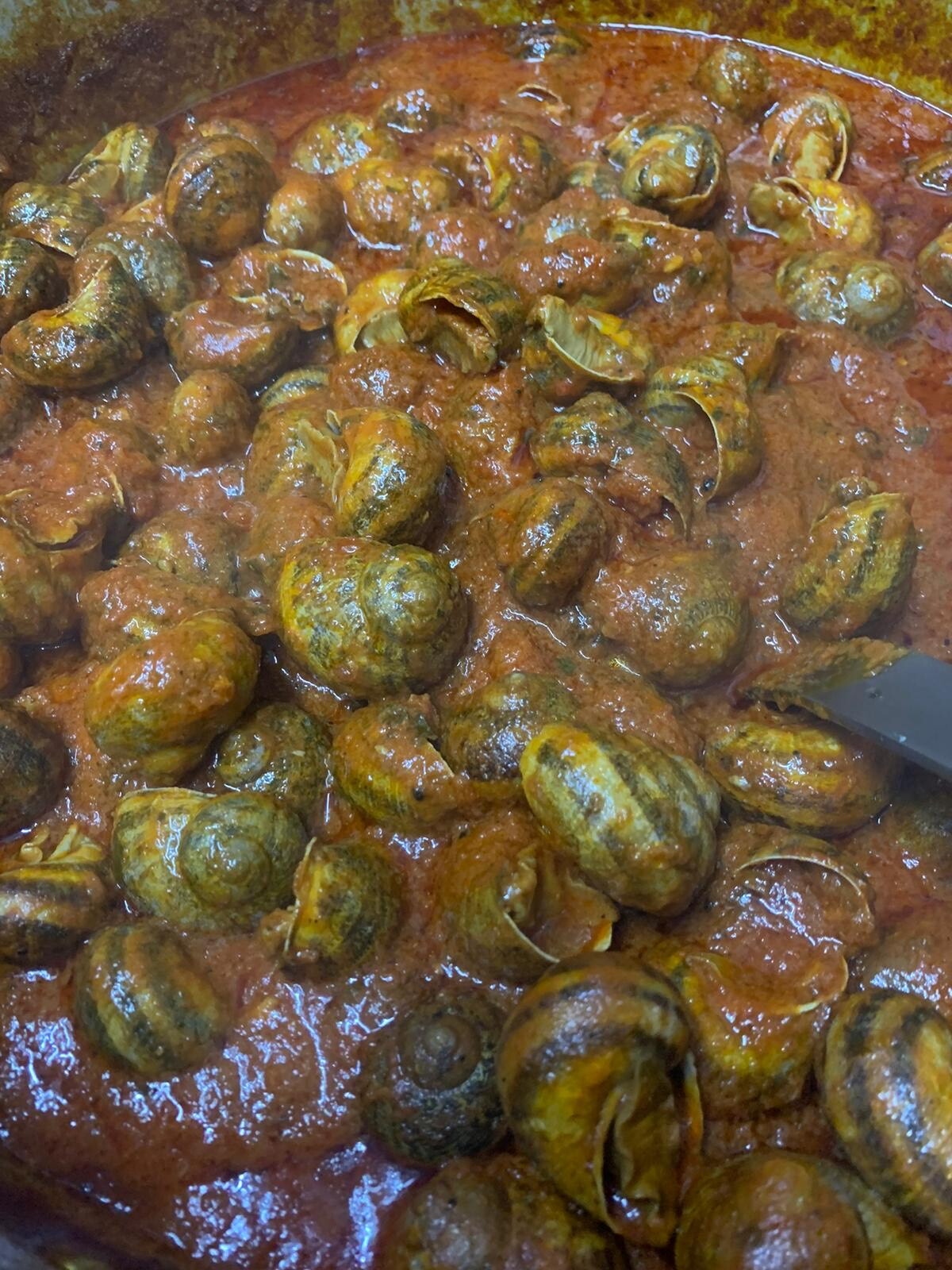 DT Spare Parts Tergicristalli Anteriore | Tipo: Standard | Lunghezza: 550mm 5.63104 - Foto 9