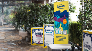 Zenessere: equilibrio, natura e benessere