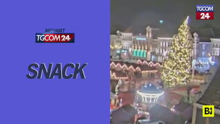 Tragedia in Belgio: donna uccisa dall'albero di Natale