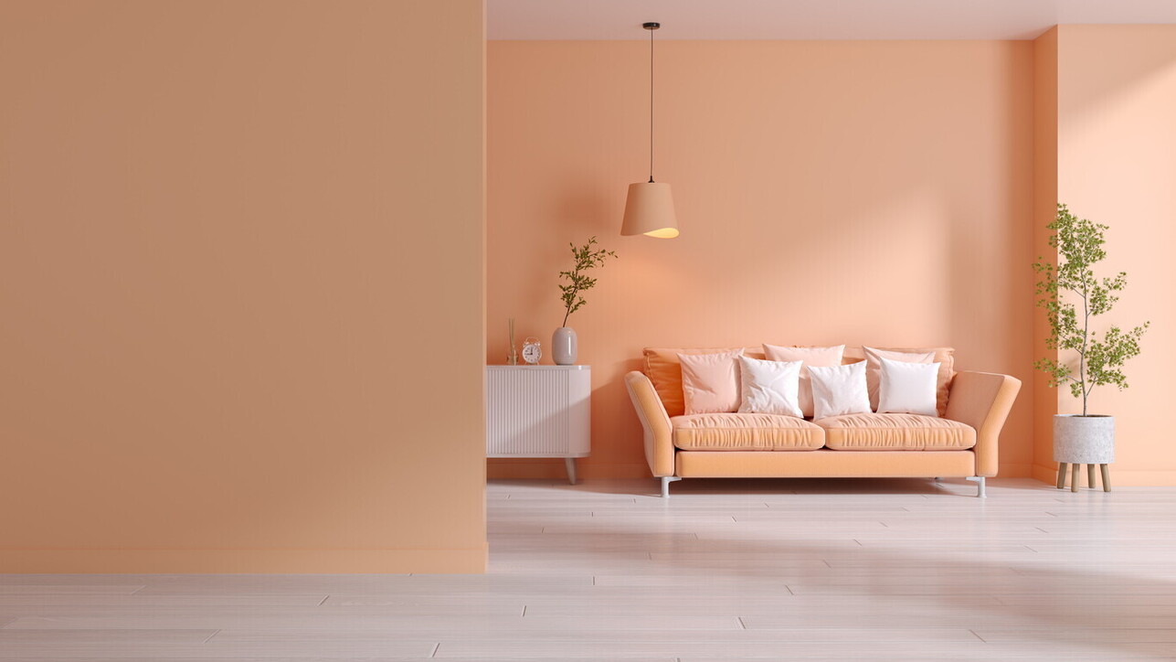 Peach Fuzz, Pantone'un 2024'ün rengi