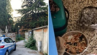 Fotogallery - Padova, tre 20enni uccisi dal monossido di carbonio