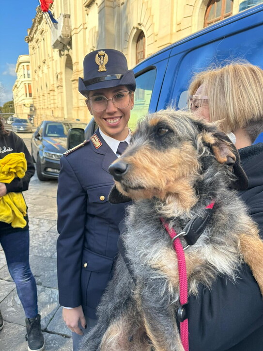 Reggio Calabria, Lisa adlı köpek polis tarafından sahiplenildi