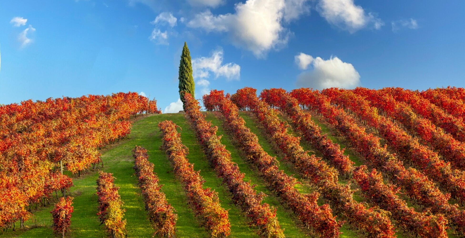 https://img-prod.tgcom24.mediaset.it/images/2024/10/10/130915665-9e1a3257-ab8b-4969-92f3-ec7739ad7b4c.jpg