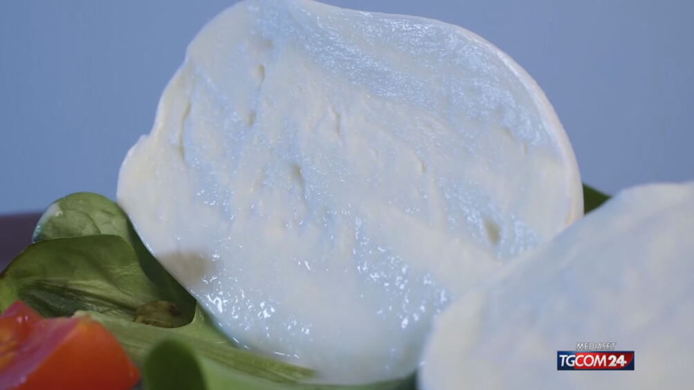 Dazi Usa sulla mozzarella di bufala, l’imprenditore Garofalo: “Non sono pessimista, ma alla lunga…”