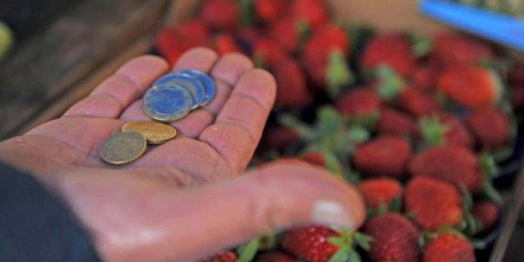 Istat: “Tra il 2019 e il 2024 salari reali hanno perso il 10,5%. Famiglie sempre più piccole: le persone sole sono il 36,2%”