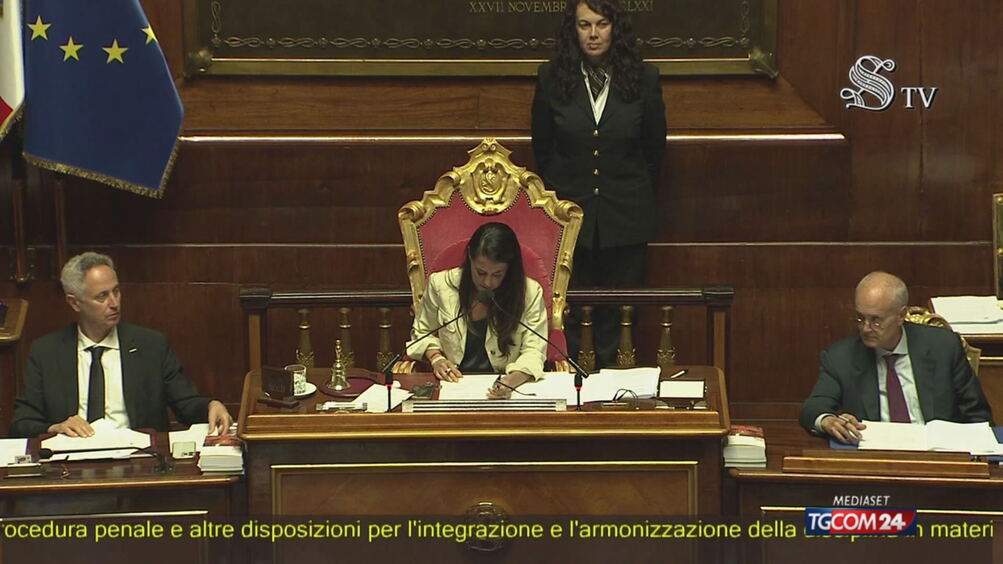 Approvata la legge Brambilla: pene più severe per chi maltratta gli animali