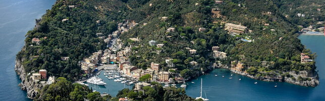 https://img-prod.tgcom24.mediaset.it/images/2025/07/15/055335142-b08f6f64-6940-40eb-acb0-7591dab8d2d4.jpg