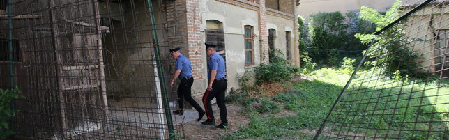 https://img-prod.tgcom24.mediaset.it/images/2025/07/17/114913482-d3fc098e-1e90-4dd0-b636-0bbf7e0bad20.jpg