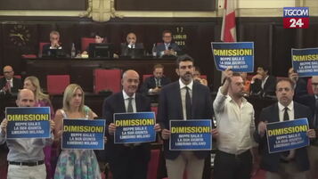 https://img-prod.tgcom24.mediaset.it/images/2025/07/17/161923231-98784def-e3a6-41e6-8f97-a987a0d5fc7e.jpg