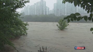 Tajfun Wipha povzročil opustošenje v jugovzhodni Aziji in na Kitajskem