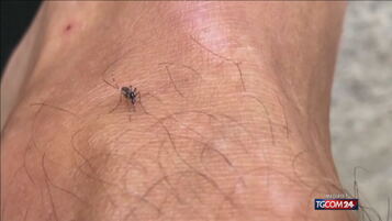 V Laciju zaradi virusa Zahodnega Nila umrla 82-letna ženska, potrjenih še šest primerov