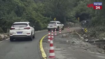 https://img-prod.tgcom24.mediaset.it/images/2025/07/29/124204556-180f942b-0562-4201-b494-e22374f8da7d.jpg
