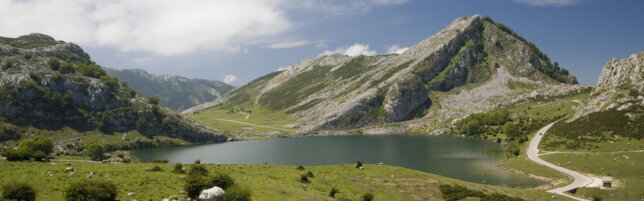 https://img-prod.tgcom24.mediaset.it/images/2025/07/30/153838886-302dc1aa-31a4-4ffc-8bf9-4b0705470d1a.jpg