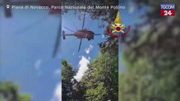 https://img-prod.tgcom24.mediaset.it/images/2025/07/31/085250760-c6976382-8eb3-40ae-bd9f-04adbbeb6507.jpg