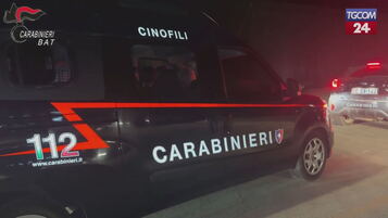 https://img-prod.tgcom24.mediaset.it/images/2025/07/31/092951334-c7c56514-3dbe-4885-a1ac-da757d5942f0.jpg
