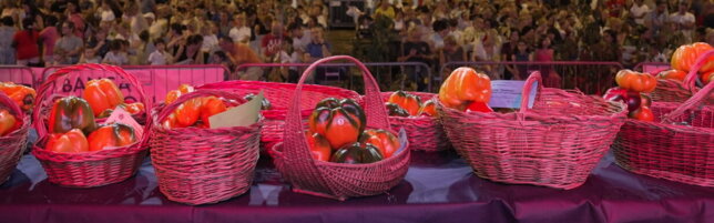 https://img-prod.tgcom24.mediaset.it/images/2025/08/08/120951479-a34cd430-7fd1-4f52-99e5-98fe54c94f18.jpg
