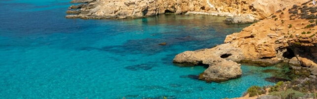 https://img-prod.tgcom24.mediaset.it/images/2025/08/08/121857844-5a3c3dab-44a8-4df4-8f95-2c3be6ae070e.jpg