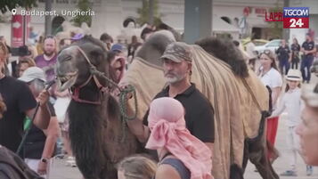 https://img-prod.tgcom24.mediaset.it/images/2025/08/08/122507853-50b00f9e-197f-44b2-ab1f-02b4fc773037.jpg