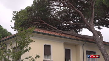 https://img-prod.tgcom24.mediaset.it/images/2025/08/25/104513941-69a2a2f1-1bc0-445e-95b7-01be0b387daa.jpg