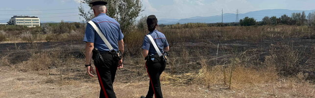 Roma, una donna di 60 anni violentata al parco di Tor Tre Teste: "Un incubo durato dieci minuti"