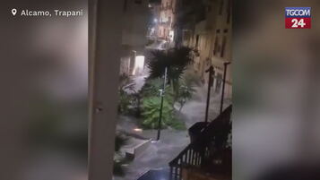 https://img-prod.tgcom24.mediaset.it/images/2025/09/11/135856331-eadcaf5b-2598-4d4e-9159-ba4e87430321.jpg