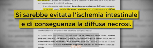 https://img-prod.tgcom24.mediaset.it/images/2025/09/15/083755670-52de67ac-e9e9-4977-90bd-c54868169d99.jpg