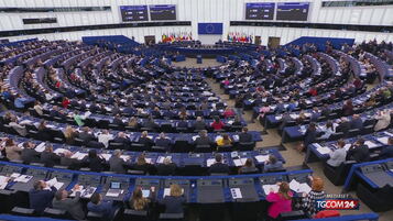 L'Eurocamera approva l'immunità a Ilaria Salis