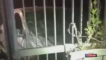 Pomezia, bomba distrugge le auto di Sigfrido Ranucci e della figlia