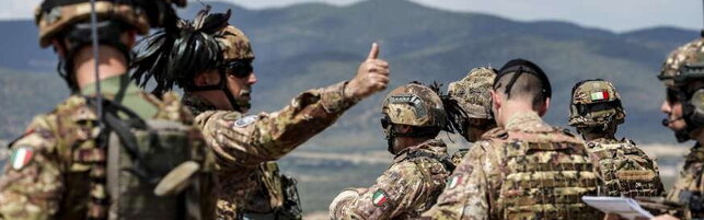 Difesa, Crosetto: "Serve una vera riforma dell'esercito, aumentare il personale e l'efficienza"