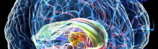 Il cervello si addormenta bruscamente: la svolta in soli quattro minuti