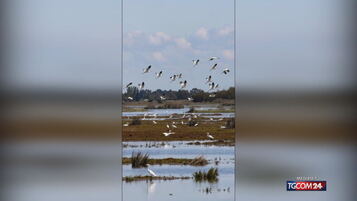 Elezioni regionali, i risultati tra Intelligenza artificiale e curiosità