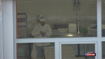 Menu palestinese a scuola in sette Comuni toscani