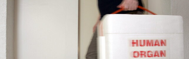 Cuore danneggiato e trapiantato a bimbo, sequestrato il contenitore usato per conservare l'organo