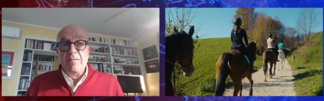 Purina a Tgcom24: "La nuova norma sulla carne di cavallo è un salto logico"