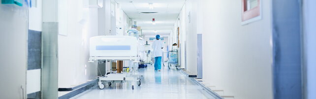 Influenza aviaria, cosa sapere: le risposte dell'Istituto Superiore di Sanità