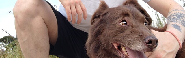 Arezzo, gli fa cenno di rallentare e lui gli investe il cane: 