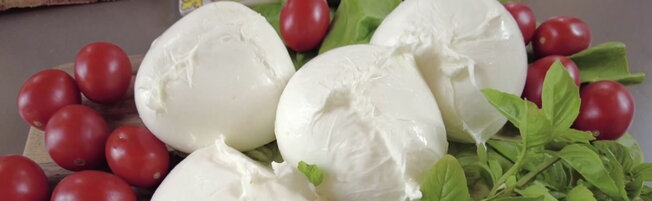 Iran, la crisi in Medio Oriente fa aumentare i costi della mozzarella di bufala