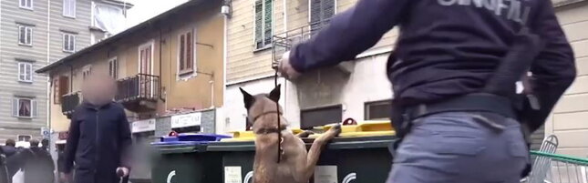 Vigevano (Pavia), si barrica in casa con un fucile dopo aver ferito il vicino e la sua badante