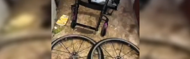 Ritrovata dalla polizia la carrozzina rubata a Valeria, la prof disabile trasferita a Milano