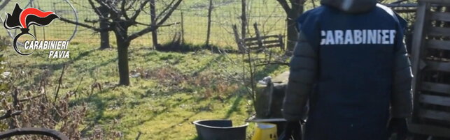 Pavia, cadavere di una ragazza trovato in un campo: nessuna ipotesi esclusa