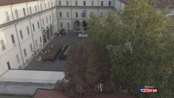 https://img-prod.tgcom24.mediaset.it/images/2026/05/08/213054306-640178a3-bc9d-4d50-abb0-69b0cb677176.jpg