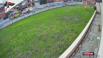 Torino, corriere finge rapina e si tiene l'incasso: denunciato dai carabinieri