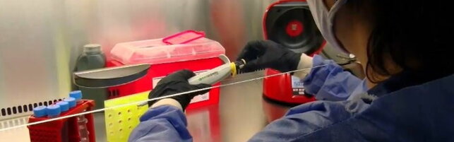 Anteprima: Hantavirus, negativo primo test sul medico in isolamento fiduciario in Veneto