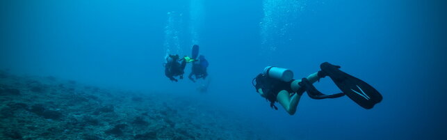 Anteprima: Tragedia alle Maldive, tutte le ipotesi sulla morte dei cinque italiani durante l'immersi…