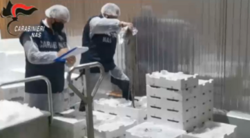 Salute, controlli dei Nas contro l'epatite A: sequestrate 16 tonnellate di alimenti